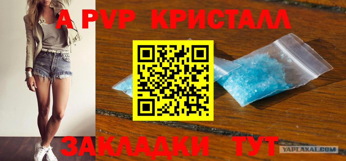 Альфа ПВП СК Мичуринск