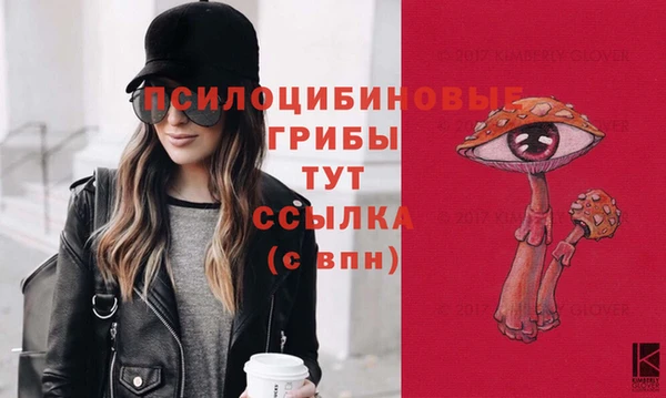 ECSTASY Нязепетровск