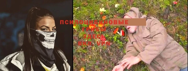 гидра Алзамай