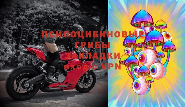 гидра Алзамай