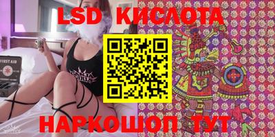 прущие грибы Гатчина