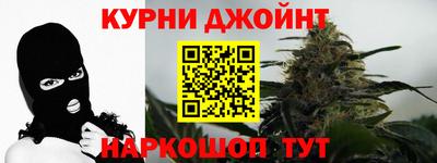 прущие грибы Гатчина