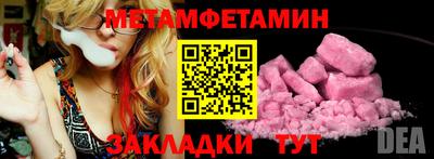 прущие грибы Гатчина
