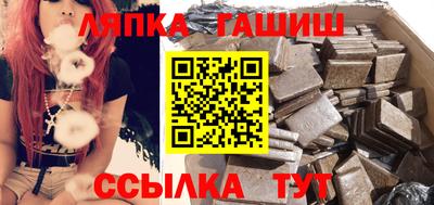 прущие грибы Гатчина