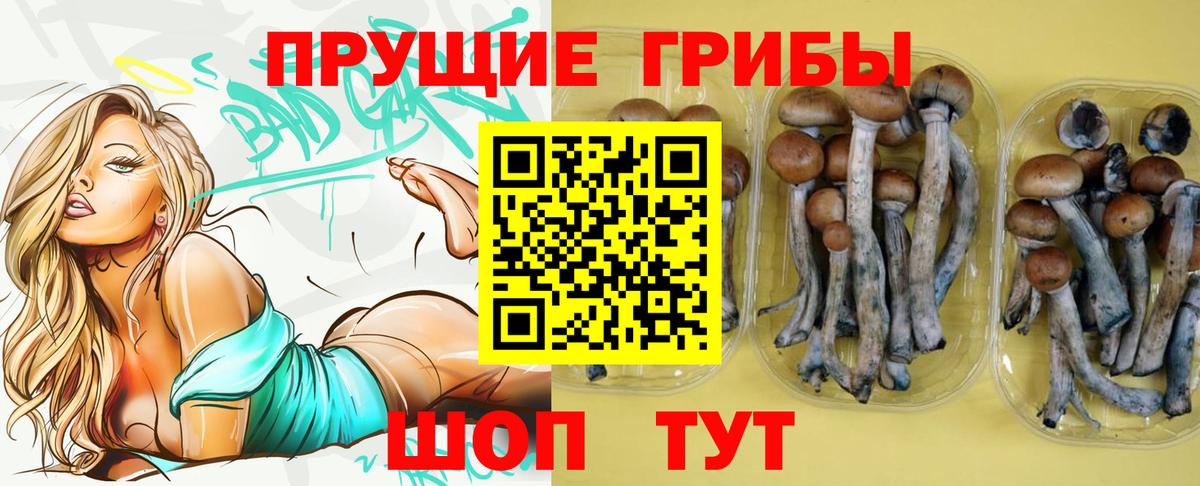 Псилоцибиновые грибы GOLDEN TEACHER Мичуринск