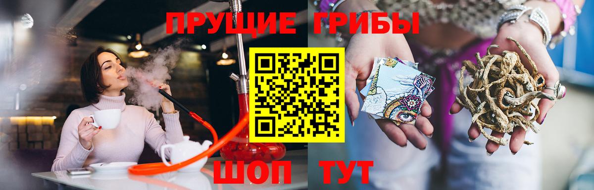 Галлюциногенные грибы MAGIC MUSHROOMS  Вход с VPN  Псилоцибиновые грибы GOLDEN TEACHER  Мичуринск 