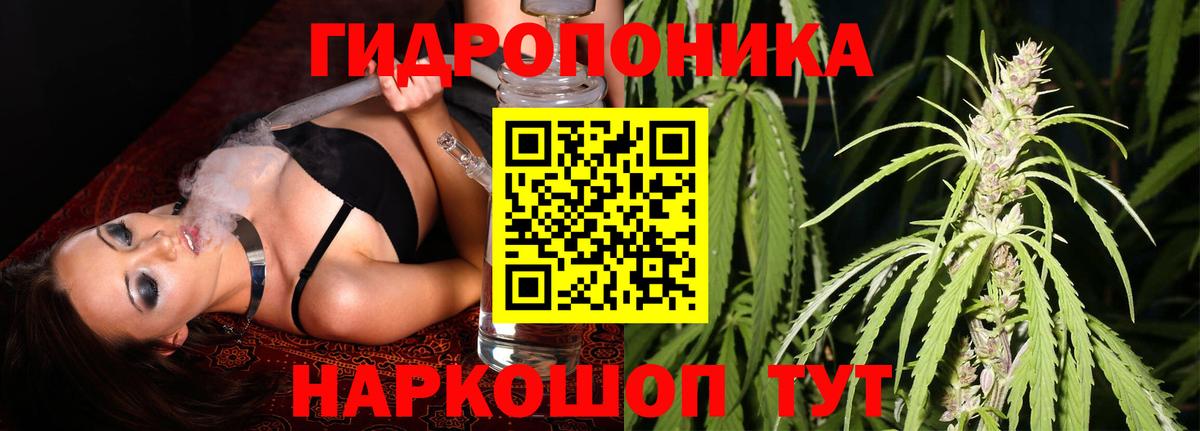 Бошки Шишки Amnesia Мичуринск